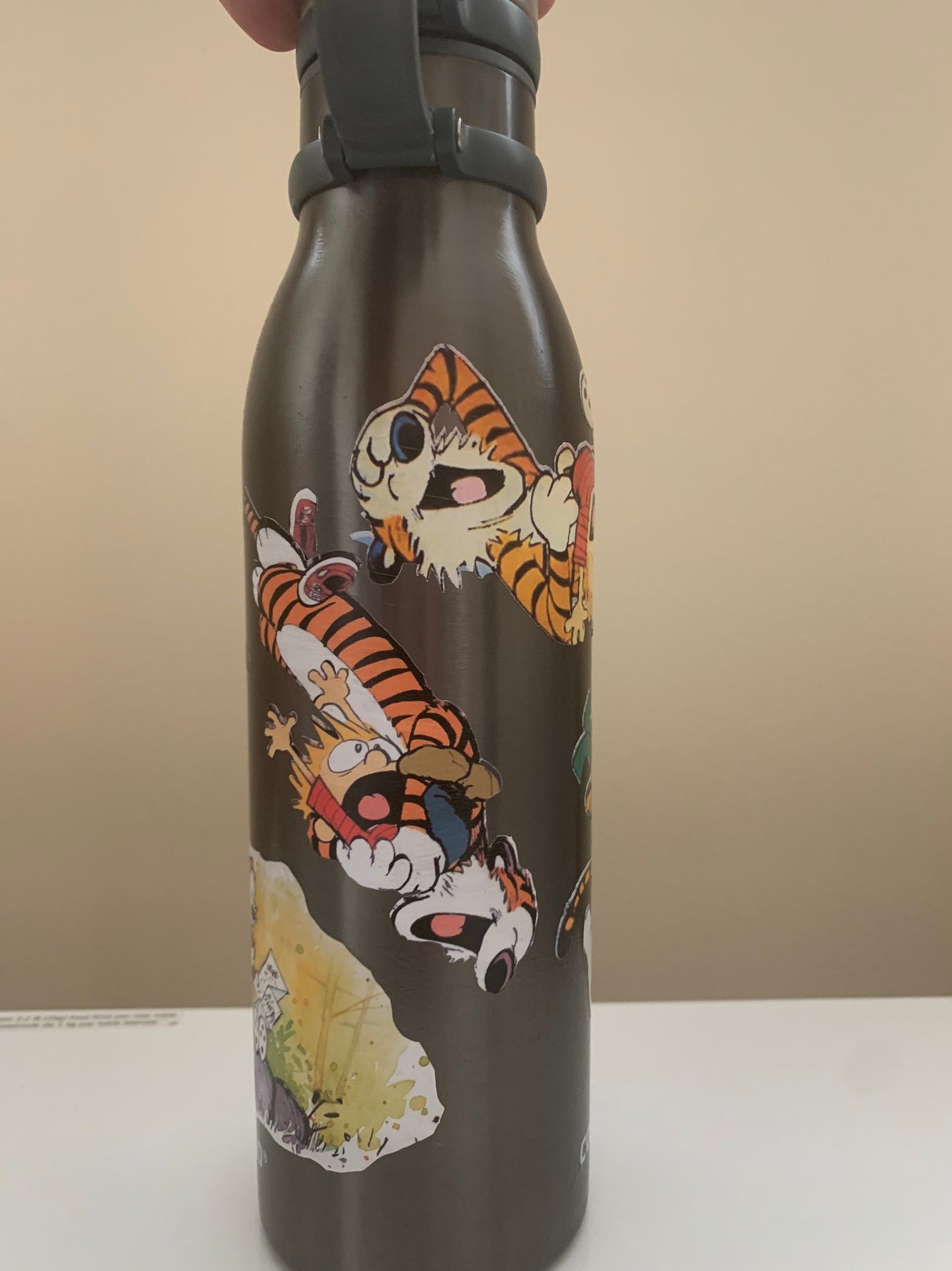 Calvin and Hobbes Customized Water Bottle